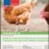 Ficha Iniciativa FIA : Diseño de un Modelo de Producción de Carne Natural para Aves y Cerdos, Aplicable para Productores de la Agricultura Familiar Campesina de la Provincia de Linares
