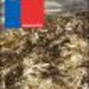 Ficha Iniciativa FIA : Uso de Zeolita Natural Chilena en Procesos de Compostaje