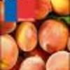 Ficha Iniciativa FIA : Metodologías de Raleo Químico de Frutos para Incrementar Competitividad en la Producción de Duraznos y Nectarinos