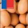 Ficha Iniciativa FIA : Inmunoprotección de Huevos contra Bacterias del Género Salmonella