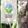 Ficha Iniciativa FIA : Desarrollo y elaboración de texto: “Productos Alimentarios Patrimoniales de La Araucanía”