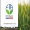 Ficha Iniciativa FIA : Validación agronómica e industrial de nuevas líneas de arroz, con características atractivas para el mercado nacional y su modelo de negocios