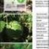 Ficha Iniciativa FIA : Rescate y valorización del cultivo de alcayota (Cucurbita ficifolia B.) a través de su producción agroecológica y su reutilización en la repostería tradicional campesina