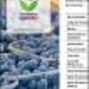 Ficha Iniciativa FIA : Desarrollo de un probiótico que fortalezca la producción y calidad frutícola de la industria del arándano