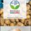 Ficha Iniciativa FIA : Desarrollo y gestión productiva de CoopHuente para la agregación de valor de la producción de papas