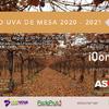 Anuario Uva de Mesa 2020-2021