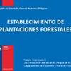 Establecimiento de plantaciones forestales