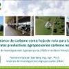Proyecto ‘Balance de carbono como hoja de ruta para la generación de sistemas productivos agropecuarios carbono neutrales’