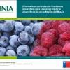 Alternativas varietales de frambueso y arándano para la promoción de la diversificación en la Región del Maule