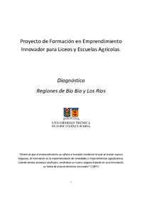 Proyecto de Formación en Emprendimiento Innovador para Liceos y Escuelas Agrícolas: Diagnóstico de Bio Bio y Los Ríos