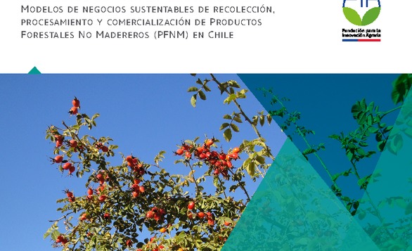 “Modelos de negocios sustentables de recolección, procesamiento y comercialización de productos forestales no madereros (PFNM) en Chile”