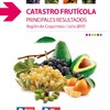 "Catastro Frutícola: Principales resultados"