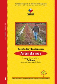 Resultados y Lecciones en Arándanos Proyectos de Innovación en Pailimo Comuna de Marchigüe, VI Región