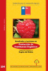 Resultados y Lecciones en Producción de Frambuesas Orgánicas Establecimiento y Reconversión de Huertos en la Zona Centro Sur de Chile