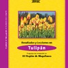 Resultados y Lecciones Tulipán Proyectos de Innovación en XII Región de Magallanes