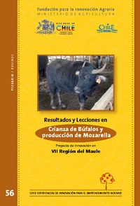 Resultados y lecciones en Crianza de Búfalos y Producción de Mozarella. Proyecto de Innovación en la VII Región del Maule