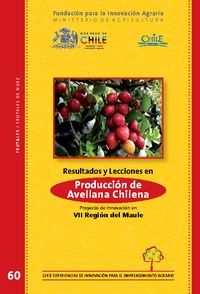Resultados y lecciones en Producción de Avellanas Chilenas como Recurso para Productores Rurales. Proyecto de Innovación en la VII Región del Maule