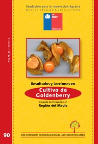 Resultados y lecciones en Cultivo de Goldenberry Proyecto de Innovación en Región del Maule
