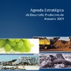 Agenda estratégica de desarrollo productivo Atacama 2009
