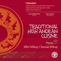 Traditional high andean cusine