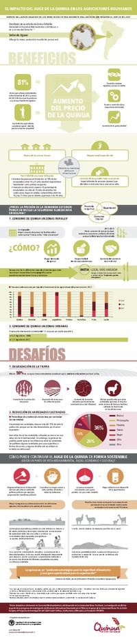 El impacto del auge de la quinua en los agricultores bolivianos