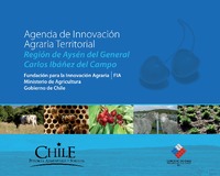 Agenda Regional de Innovación Agraria, región de Aysén. 2009