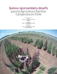 Quínoa: oportunidad y desafío  para la Agricultura Familiar  Campesina en Chile