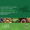 Agenda Regional de Innovación Agraria, región de la Araucanía. 2009