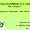 Producción Orgánica de Semillas de Hortalizas : eperiencia en empresa Vitalis, Holanda