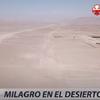 Agricultura en el Desierto (Norte de Chile)